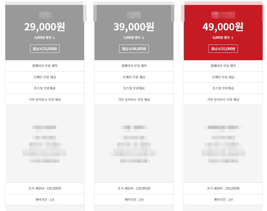 초기세팅비가 있는 홈페이지 제작업체의 호스팅 가격표